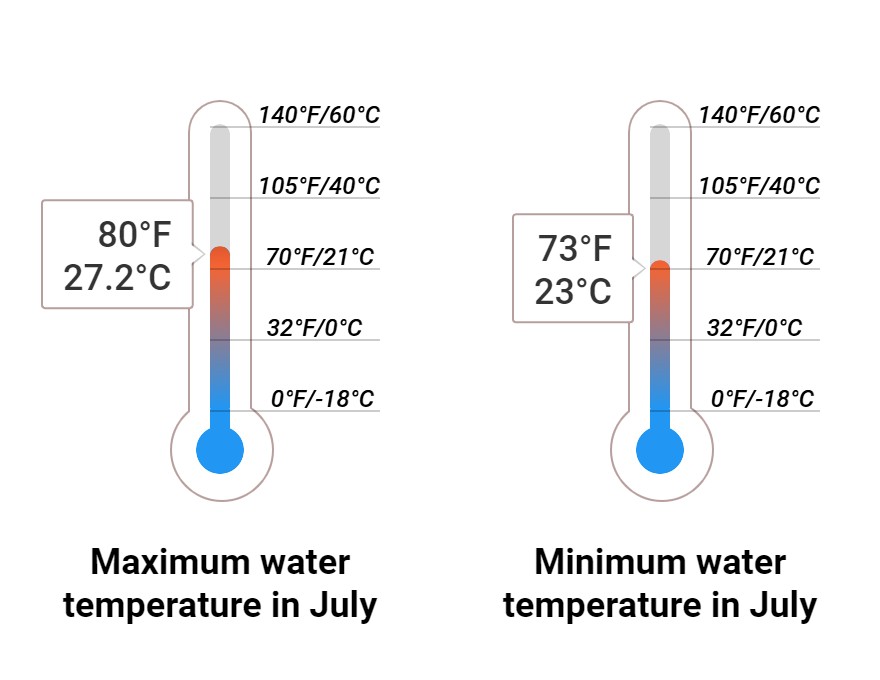 Average Sea temperature